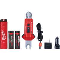 Lampe USB polyvalente REDLITHIUM pour perche isolante, DEL, Piles Rechargeable, Aluminium Cantin et fils