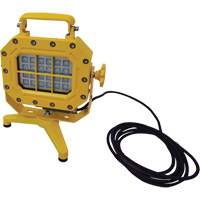 Explosion Proof Floodlight with Stand, LED, 40 W, 5600 Lumens, Aluminum Housing Cantin et fils
