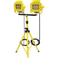 Explosion Proof Floodlight with Tripod, LED, 40 W, 5600 Lumens, Aluminum Housing Cantin et fils