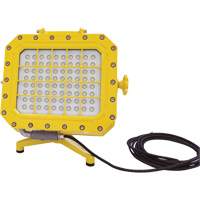 Explosion Proof Floodlight with Floor Stand, LED, 40 W, 5600 Lumens, Aluminum Housing Cantin et fils