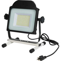 Projecteur, DEL, 100 W, 10000 lumens Cantin et fils