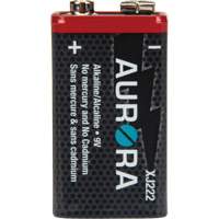 Industrial Alkaline Batteries, 9 V Cantin et fils