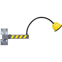 Gooseneck Industrial Task Light Cantin et fils