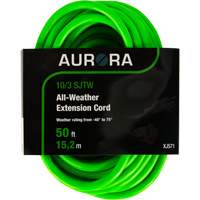 Industrial Extension Cord, All-Weather, SJTW, 10/3 AWG, 15 A, 50' Cantin et fils