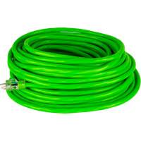 Industrial Extension Cord, All-Weather, SJTW, 10/3 AWG, 15 A, 50' Cantin et fils