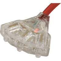 Generator Extension Cord with Tritap, STW, 10 AWG, 3 Outlet(s), 25' Cantin et fils