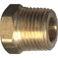 Hex Head Cored Plug, Pipe, 1/8" Dia., Brass Cantin et fils