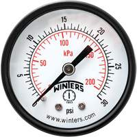 Economy Pressure Gauge, 2" , 0 - 30 psi, Back Mount, Analogue Cantin et fils