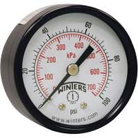 Economy Pressure Gauge, 2" , 0 - 160 psi, Back Mount, Analogue Cantin et fils