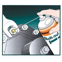 Lubrifiant d&eacute;grippant Bolt-Out, Canette a&eacute;rosol Cantin et fils